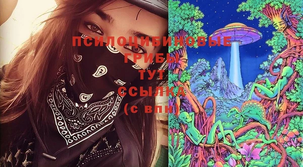 мяу мяу кристалл Арсеньев