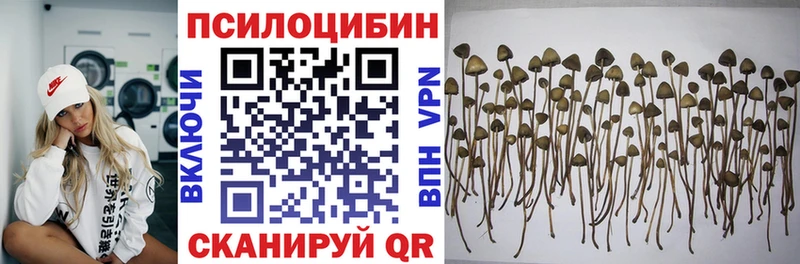 Галлюциногенные грибы мухоморы  Купить закладки  Армянск 